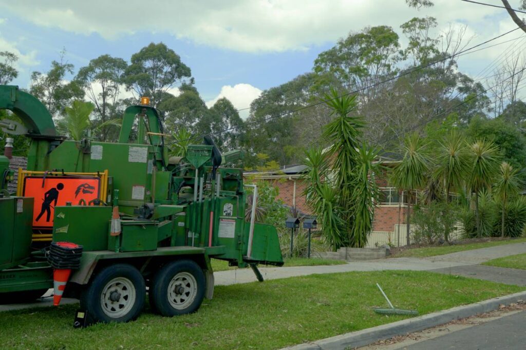 Treerex site clean up
