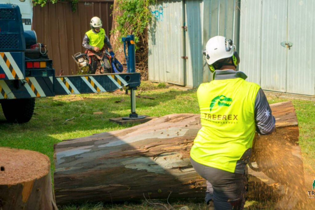 stump grinding and removal in Sydney